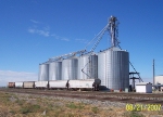 The far right covered hopper GACX 5703 is being loaded with grain